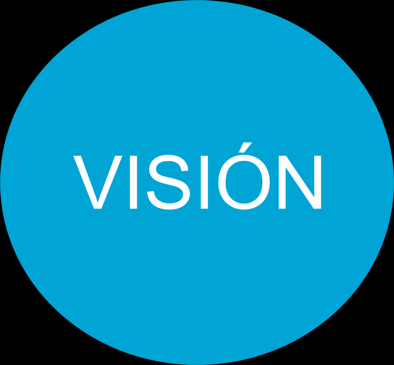 логотип vision