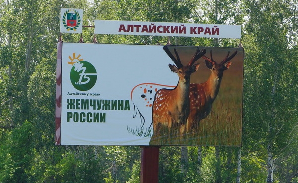 Слоган алтая. Алтай слоган. Рекламный слоган про Алтай. Слоган про Сибирь. Алтай реклама.